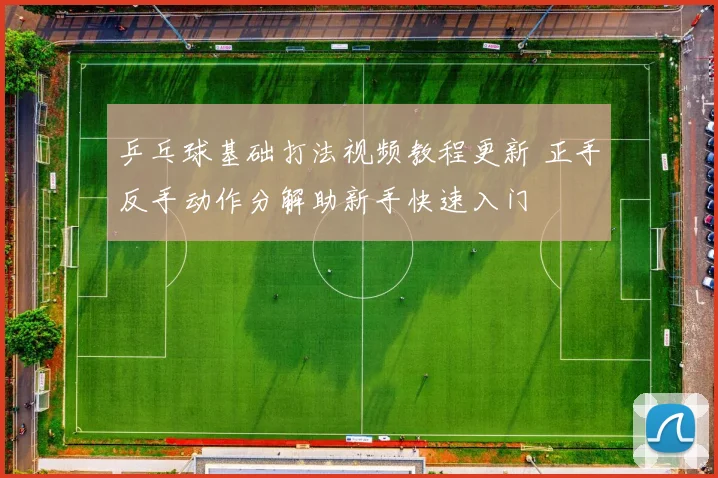 乒乓球基础打法视频教程更新 正手反手动作分解助新手快速入门