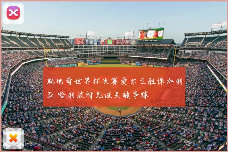 魁地奇世界杯决赛爱尔兰胜保加利亚 哈利波特见证关键争球