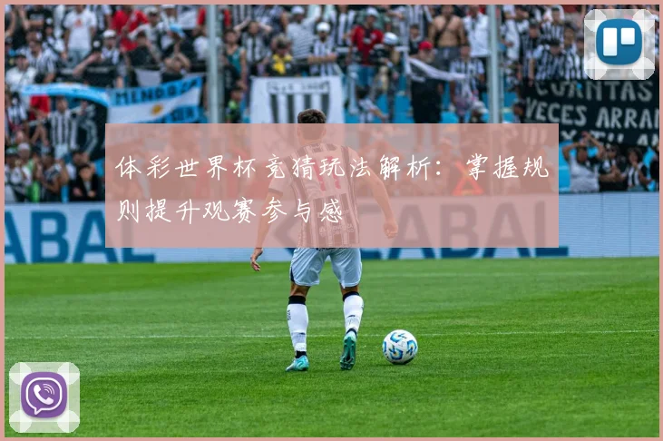 体彩世界杯竞猜玩法解析：掌握规则提升观赛参与感