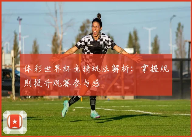 体彩世界杯竞猜玩法解析：掌握规则提升观赛参与感
