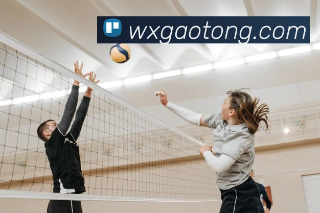 开云手机在线官网登录平台生态图